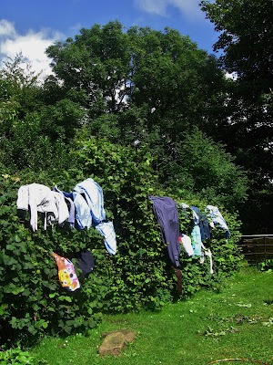 Maiden clothes horse sale